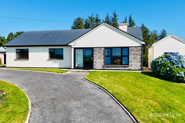 Shannapheasteen, Costelloe, Co Galway, H91Y86K