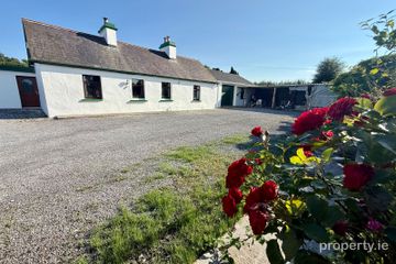 Holywell Upper, Ballyhaunis, Co. Mayo, F35F884 — photo 2