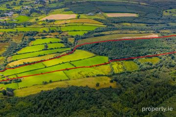 Cappaghduff East, Tourmakeady, Co. Mayo, F12RW93