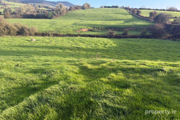 Ballyfaskin, Ballylanders, Co. Limerick — photo 3
