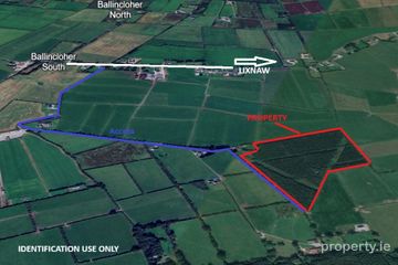 15 Acres/6.1 Ha Forestry Plantation at Gortadrislig, Lixnaw, Co. Kerry