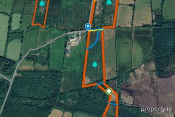 Loughglynn Demense and Druminagh, Loughglynn, Co. Roscommon
