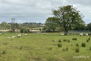 Cloonfush, Tuam, Co. Galway