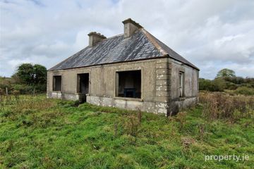 Woods, Midfield, Co Mayo