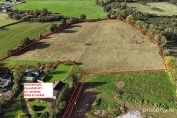 Castletown, Pallaskenry, Co. Limerick