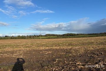 Drumminascart, Ballycommon, Co. Tipperary — photo 3
