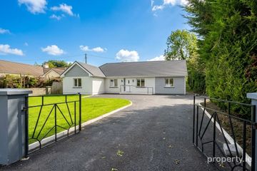 Completely Renovated 6-Bedroom Bungalow at Derrymullan, Ballinasloe, Co. Galway, H53R9Y8 — photo 3