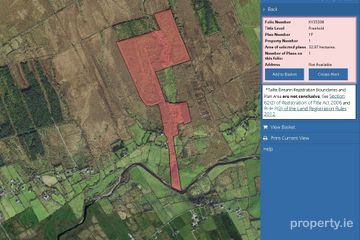 c. 81 Acres Forestry, Maulnahone, Cahersiveen, Co. Kerry — photo 3