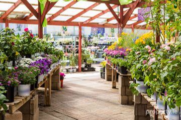 Garden Centre, Frascati Centre, Blackrock, Co. Dublin