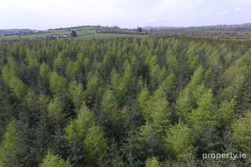 Derragh, Kilkelly, Co. Mayo