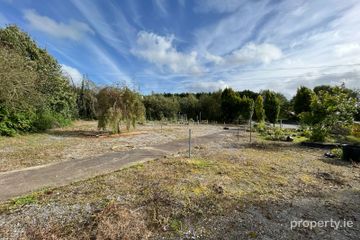 Ashfort, Crecora, Derryknockane, Co. Limerick
