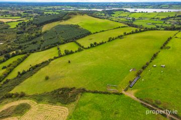 Ben of Fore, Castlepollard, Co. Westmeath — photo 3