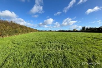 16.29 Ha Or 40.26 Acres, Drumnamahanisland, Borrisokane, Nenagh, Co. Tipperary — photo 2