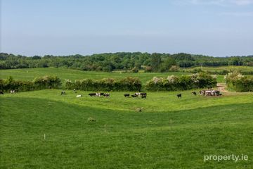 Cappanrush, Kilbeggan, Co. Westmeath — photo 3