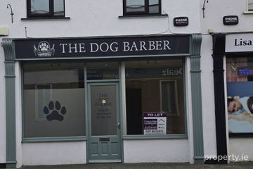 Convent Lane, Athy, Co. Kildare