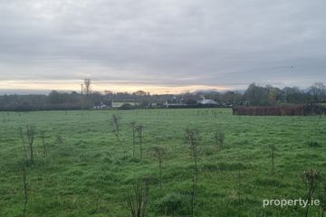 1 x 3.5 acres Sites SPP, Palatine, Co. Carlow, R93N7D2