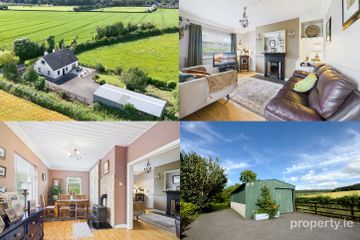 CARRICKSALLAGH CORRIG, STRADBALLY, Co. Laois, R32X8E2 — photo 2