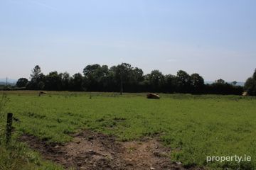 .75 Acre Site, Kilcarrig,, Bagenalstown,, Co. Carlow — photo 2