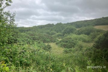 6.94 Acres At Ballysallagh, Hacketstown, Co. Carlow, R93E5Y9