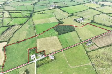Cappanafaraha, Bruree, Co. Limerick
