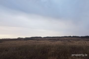 Tyreda Upper, Tulla, Co. Clare — photo 3