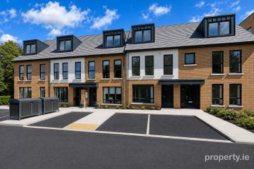 Boann Weir, Boyne Road, Navan, Co. Meath