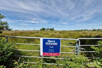 Brierfield Burke, Moylough, Ballinasloe, Co. Galway
