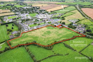 9 Acres Development Land, Two Mile Borris, Thurles, Co. Tipperary
