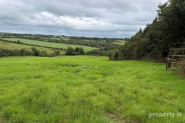 Doon, Teirworker, Kells, Co. Meath
