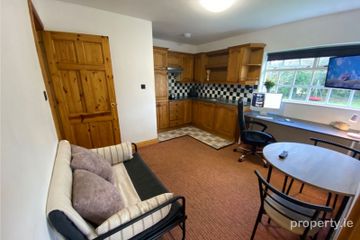 Studio with Office Available 1st Oct - Bills Included , Coosan, Athlone, Co. Westmeath, Athlone, Co. Westmeath — photo 3