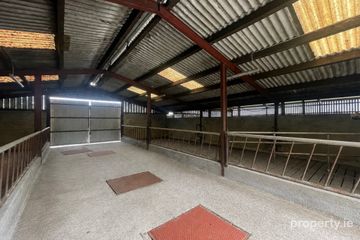 Farmyard and Slatted Sheds to rent, Four Mile House, Roscommon, Co. Roscommon — photo 2