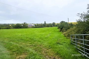 Rathescar South Dunleer Co Louth, Ardee, Co. Louth, A92XE20 — photo 2