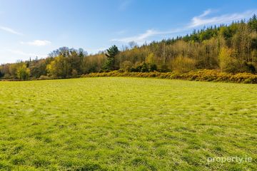 Killamery, Callan, Co. Kilkenny, E32FA47 — photo 3