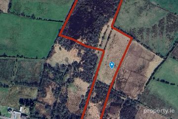 Rushpark, Farragher, Ballymacurley, Co. Roscommon