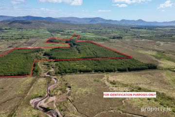 c. 81 Acres Forestry, Maulnahone, Cahersiveen, Co. Kerry