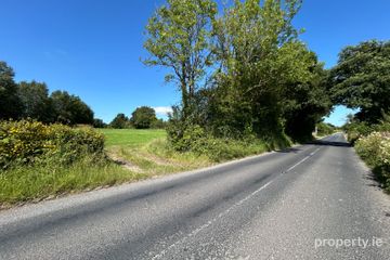 Site at Garrynatineel, Ballina, Co. Tipperary — photo 2