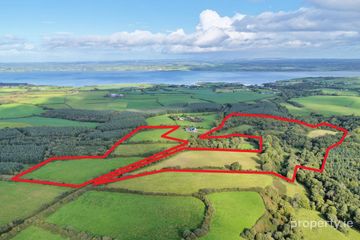 Curra More, Loughill, Co. Limerick