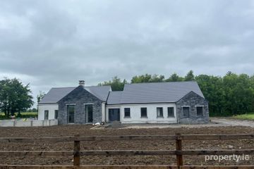 Ballymacegan, Lorrha, Portland, Co. Tipperary, E45XY79