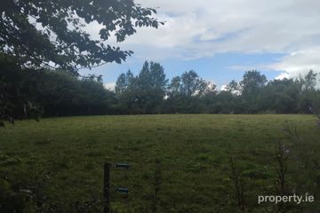 Dromard Beg, Clonmore, Co. Tipperary