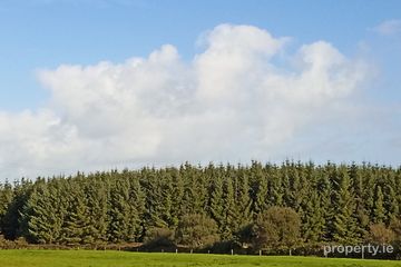 Knockerra, Cooraclare, Kilrush, Co. Clare, V15YY84