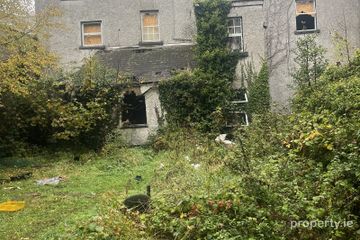 41 JKL Street, Edenderry, Co. Offaly, R45DK09 — photo 3