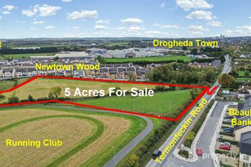 Newtownstalaban, Drogheda - 5 Acre Development site, Drogheda, Co. Louth, A92Y7H7 — photo 2