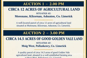 Morenane , Askeaton, Morenane, Co. Limerick — photo 2
