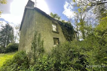 Rushpark, Farragher, Ballymacurley, Co. Roscommon — photo 2