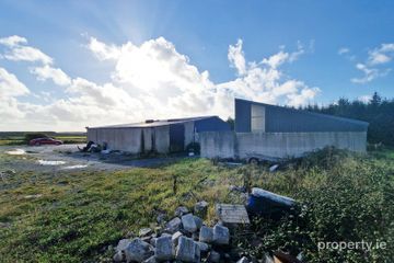 Newtown, Doonbeg, Clare — photo 3