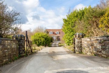 Galbally, Curracloe, Curracloe, Co. Wexford, Y21AE95 — photo 2
