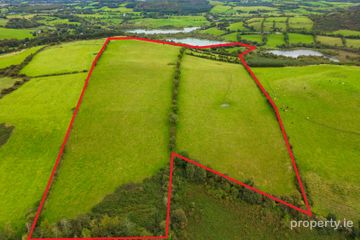 Ben of Fore, Castlepollard, Co. Westmeath