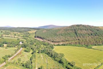 Saddle Hill, Blessington, Thomastown, Co. Kilkenny — photo 3