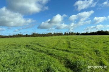 16.29 Ha Or 40.26 Acres, Drumnamahanisland, Borrisokane, Nenagh, Co. Tipperary — photo 3