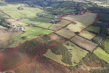 Land For Sale 33 Acres Kingscourt Folio Cn 6678f, Moyar, Kingscourt, Co. Cavan — photo 2